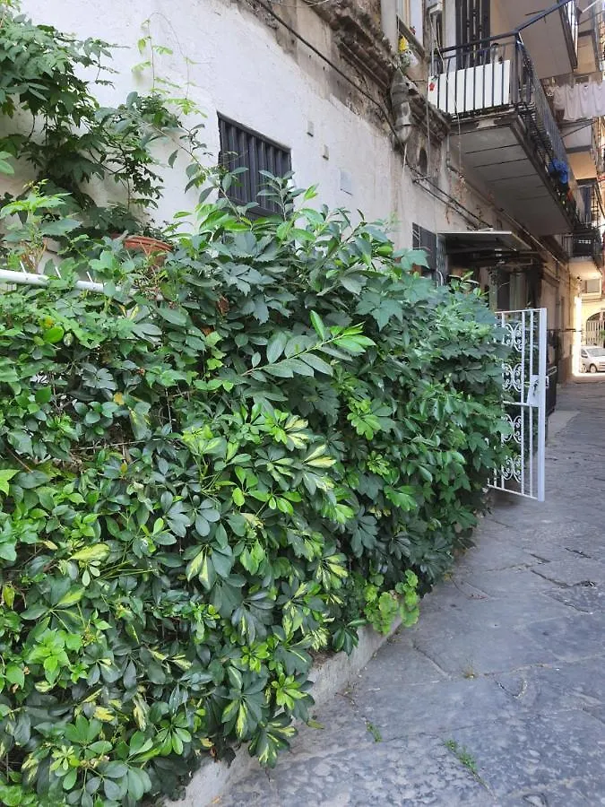 Casanova 2 Apartment Naples